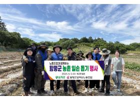 노동조합과 함께하는 함평군 농촌 일손돕기 행사(26.6.5.)