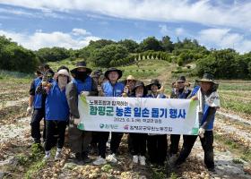 노동조합과 함께하는 함평군 농촌 일손돕기 행사(25.6.5.)